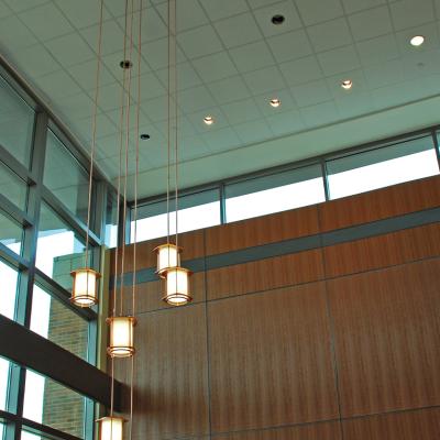 Jamerson Lewis Construction Group Pearson Cancer Center Featured Projects 17