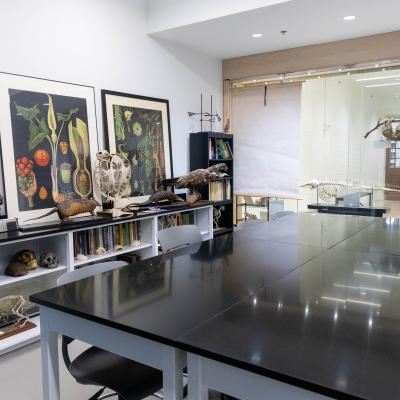 Randolph Martin science renovation lynchburg va construction Jamerson-Lewis